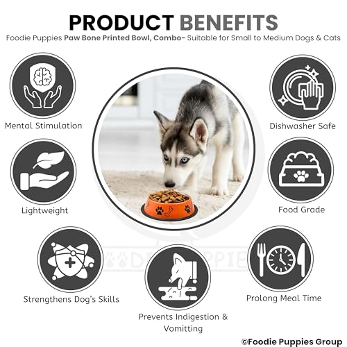 Image of Foodie Puppies Stainless Steel Dog Bowl Combo - (Medium, 700ml) Food and Water Feeding Gift Bowl | Suitable for Dogs, Cats and Other Pets I Paw Bone Print, Anti-Skid Rubber Base (Black + Orange)