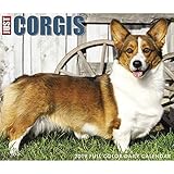 Just Corgis 2019 Box Calendar (Dog Breed Calendar)