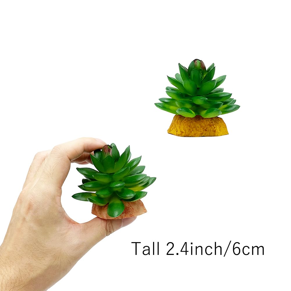 Reptile Artificial Plants Succulent Terrarium Decor Desert Rain Forests Plant Lizard Bearded Dragon Chameleon Gecko Snake Amphibian Habitat Hideout Turtle Tank Accessories (Green-2pcs-Set) - Image 4