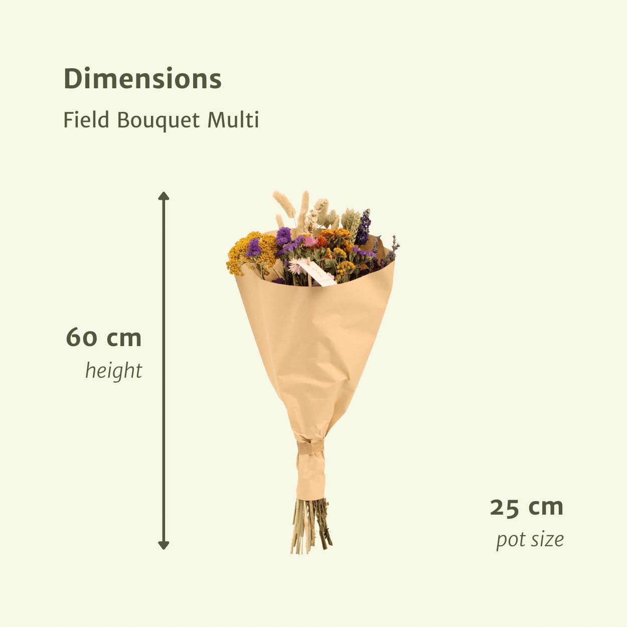 Fleurs sèches Field Bouquet Multi
