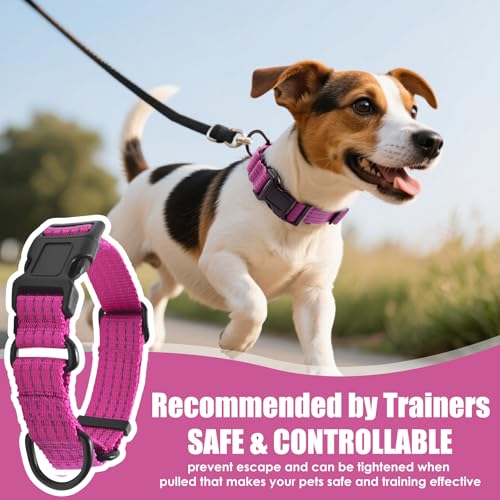 Image of Martingale Dog Collar, Reflective No Pull with Buckle, Hot Pink, S | Escape Proof without choking ,Training Collar with Quick Release Buckle, Adjustable Heavy Duty Nylon collars for S M L Dogs