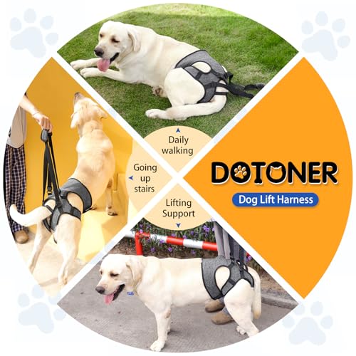 Dotoner Tragehilfe Hund, Anpassbare Tragehilfe für Alle Hundegrößen, Stabiler Beinsupport & Treppenhilfe für Ältere Tiere mit Bewegungseinschränkung