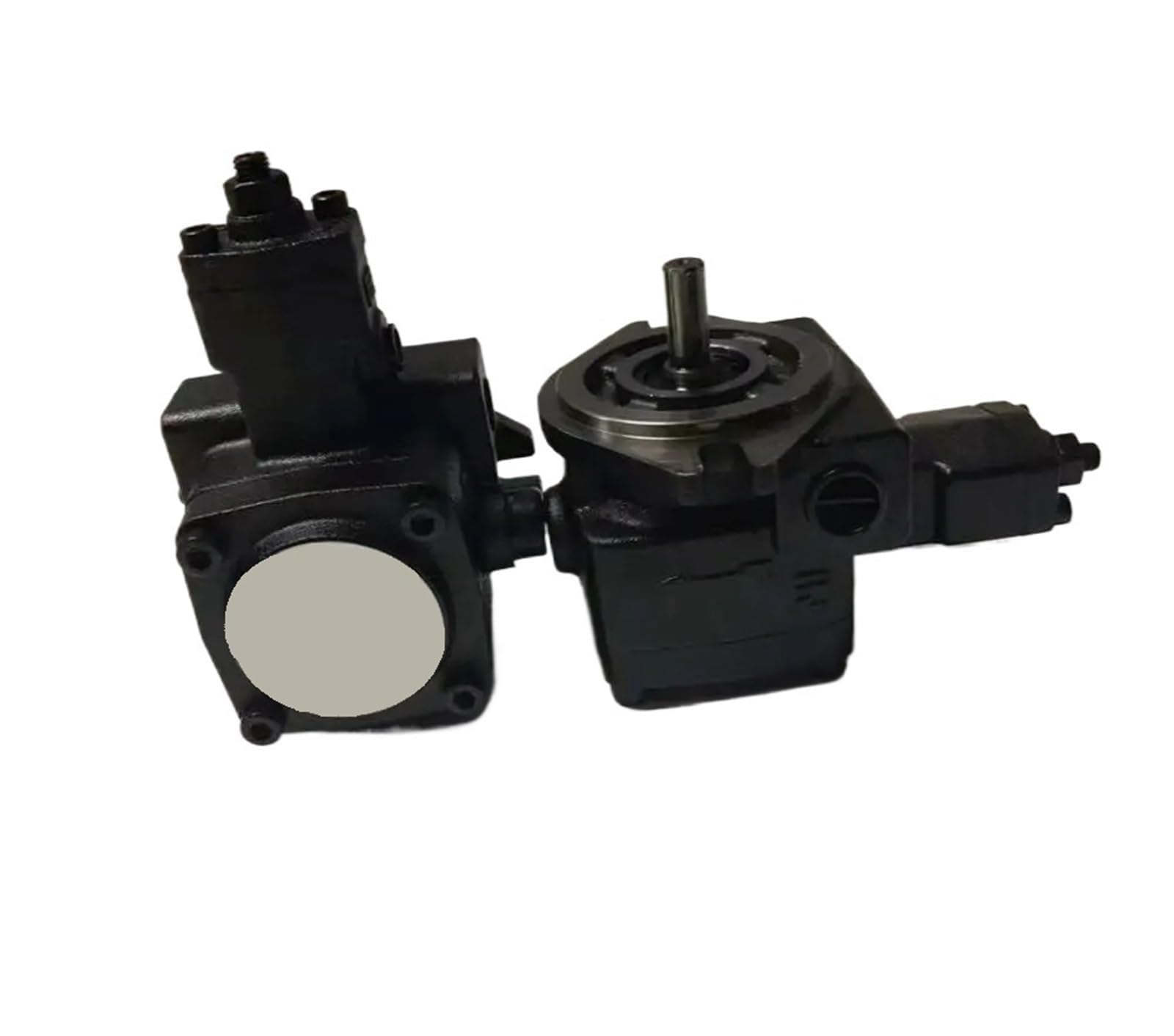 Bhuionwtr One Color Hydraulic Gear Pump Pump Gear Variable Vane Pump Model Vp-Sf-12-D