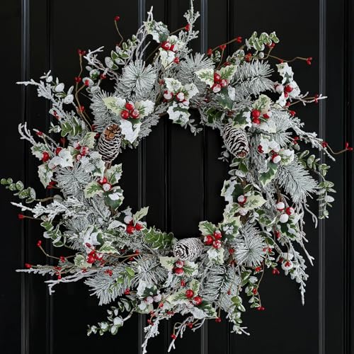 Hometrance Winter Christmas Wreaths for Front Door 20 Inches, Faux