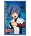 Official Bushiroad Sleeve Collection Mini Vol.41 (Cardfight! Vanguard)