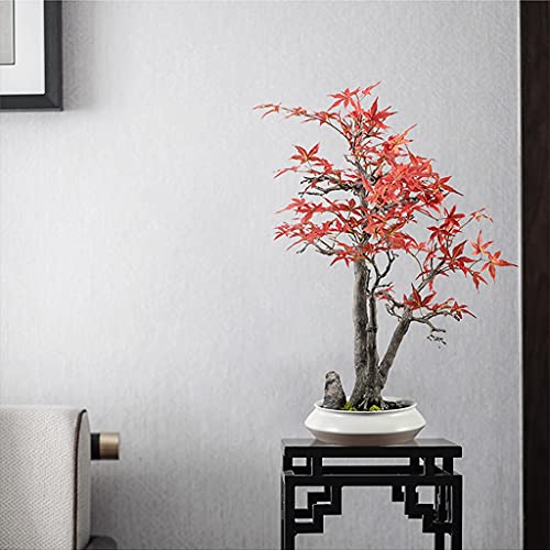 Bonsai silk érable en pot céramique de haute qualité décorative