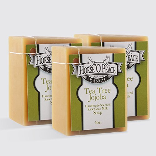 Handmade Herbal 100% Raw Goat Milk Tea Tree Jojoba Soap (3 PACK)