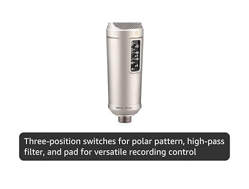 Amazon.com: Rode NT2-A Studio Solution Microphone, Silver, Wired