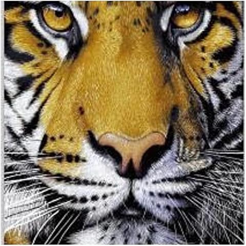 Z Fashion 3D Luxury warm Super Soft MINK FAUX FUR BLANKET Throw 3D Bed Sofa Animal Print Throw King Size 200 x 240 Cm (Tiger Face) Cover