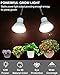 DOMMIA Grow Lights for Indoor Plants,Full Spectrum Grow Light with Warmwhite Red LED,Dual Head Clip Plant Light for Indoor Plants,Manual ON/Off Switch,Adjustable Gooseneck Plant Light for Houseplants
