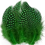100pcs 3"-6" Green Spotted Feathers Guinea Pheasant Feather for Crafts Dream Catcher Jewelry Decorat