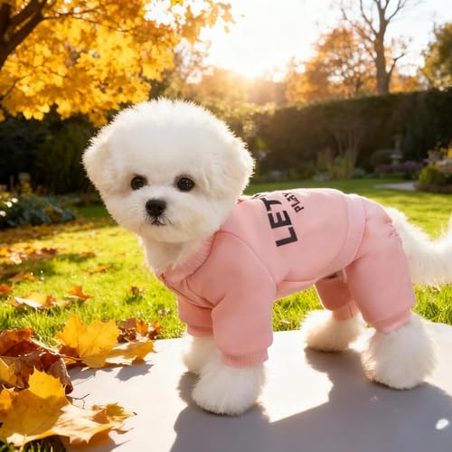 Pull en polaire pour petit chien XL lot de 2 sweats pyjamas chauds