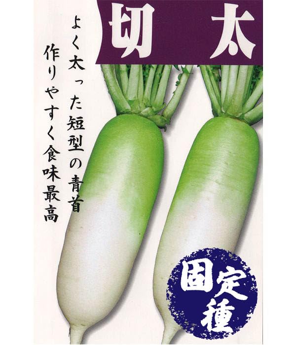 Amazon.co.jp: アサヒ農園 切太大根(だいこんの種)【固定種 Amazon.co.jp: アサヒ農園 切太大根(だいこんの種)【固定種