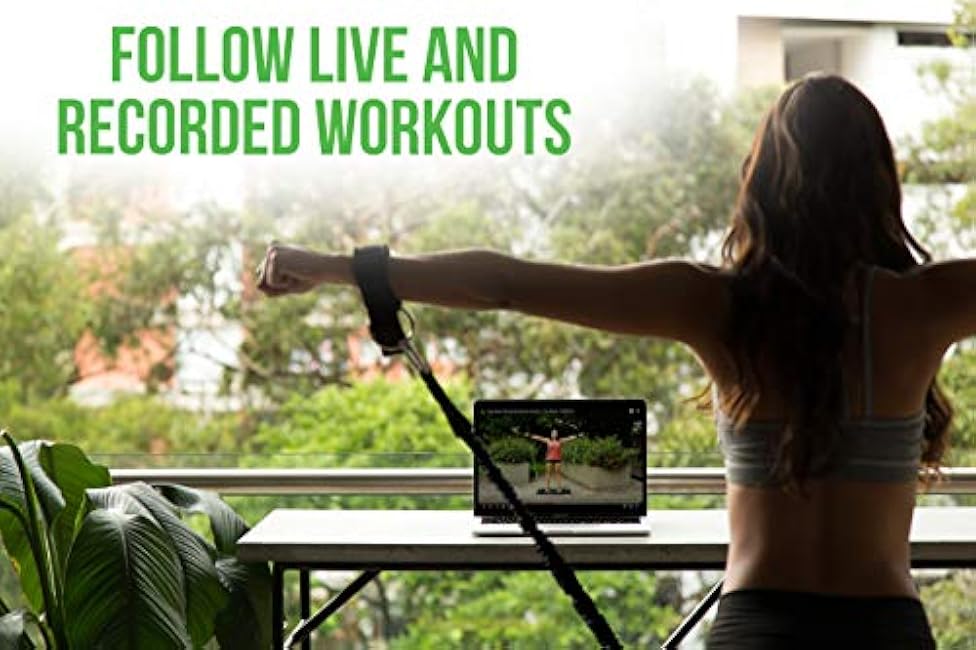 BodyBoss Home Gym 2.0 - Full Portable Gym Home Workout Package + 1 Set of Resistance Bands - Collapsible Resistance Bar, Handles - Full Body Workouts for Home, Travel or Outside - Black (PKG2-BLACK)