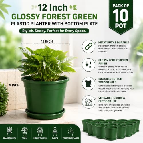 Image of 12 Inch Glossy Forest Green Plastic Planter with Bottom Plate | Heavy Duty Flower Pot with Tray for Indoor Home Decor, Balcony, Living Room & Outdoor Garden (10 Pot, Forest Green)