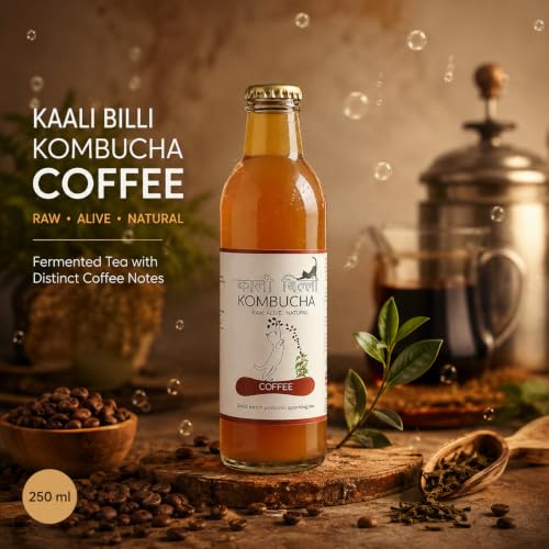 Image of KAALI BILLI Kombucha Coffee, Pack of 2 | Fermented Tea, All Natural, Gut Healthy Drink | 2 x 250ml | Vegan, Preservative free, Low calorie, Low sugar
