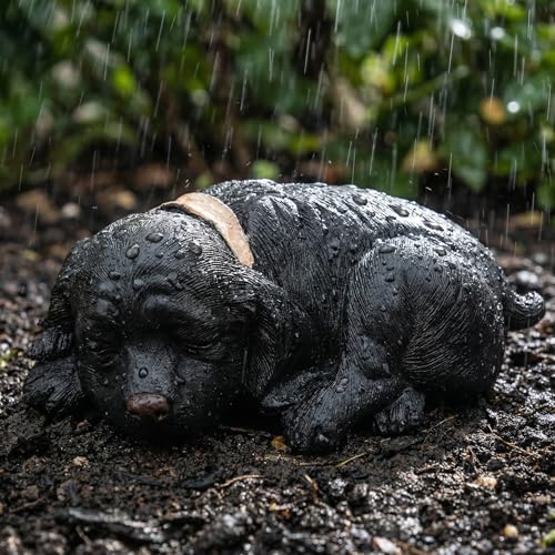 Cache-clés de jardin résistant aux intempéries pour cour et pelouse