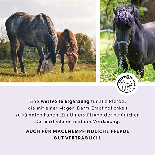 Annimally Magen Darm Liquid Pferd 1000ml - Gastro Colon Vital zur Unterstützung der Verdauung zum Beispiel bei Kotwasser - Natürliche Magen Kräuter für Pferde