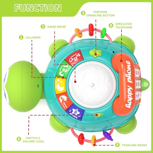 Hanayo Baby Toys 6 to 12 Months，Musical Turtle Crawling Girl Toys for 12-18 Months,Infant Early Learning Educational Toy,Girl & Boy Gift Essentials for Newborn 7 8 9 11+ Months 1-2 Year Old(Green) — view 2