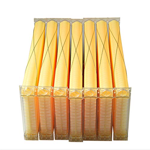 Cay2T Plastic New Nest, Nest Frame, Nest Beehive, Bee Spleen -nice-
