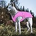 MIGOHI Warm Dog Coat Winter Dog Jacket,Waterproof Cold Weather Coats for Dogs,Fleece Jacket for Small Medium Large Dogs,Reflective Thick Fleece Vest with Leash Hole