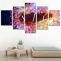 SIGNWIN 5 Panel Canvas Wall Art Group Jellyfish Marine Life Multicolor Photography Realism Tropical Ultra Whimsical for Home Decorations Ready to Hang - 60