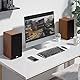 Saiyin Bluetooth Bookshelf, 40W X 2 Powered TV-Lautsprecher mit 4-Zoll-Tieftöner, Turntable-Lautsprecher mit optischem/AUX-Eingang/Subwoofer Line Out für PC und TVs