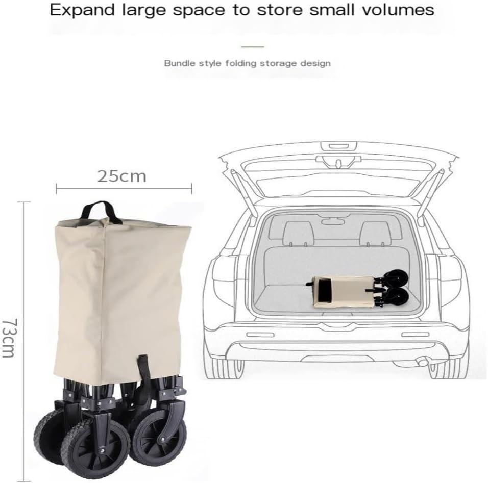 オ*ン様 ❤️根充実❤️沢山新芽❤️3208⭐️SD⭐️幻想的⭐️purpura