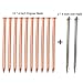 Zipcase 4 Inch (106mm) Solid Pure Copper Nails Extreme Long for Removing Trees, Stumps & Roots x 10 with 4 Inch Steel Nails x 2