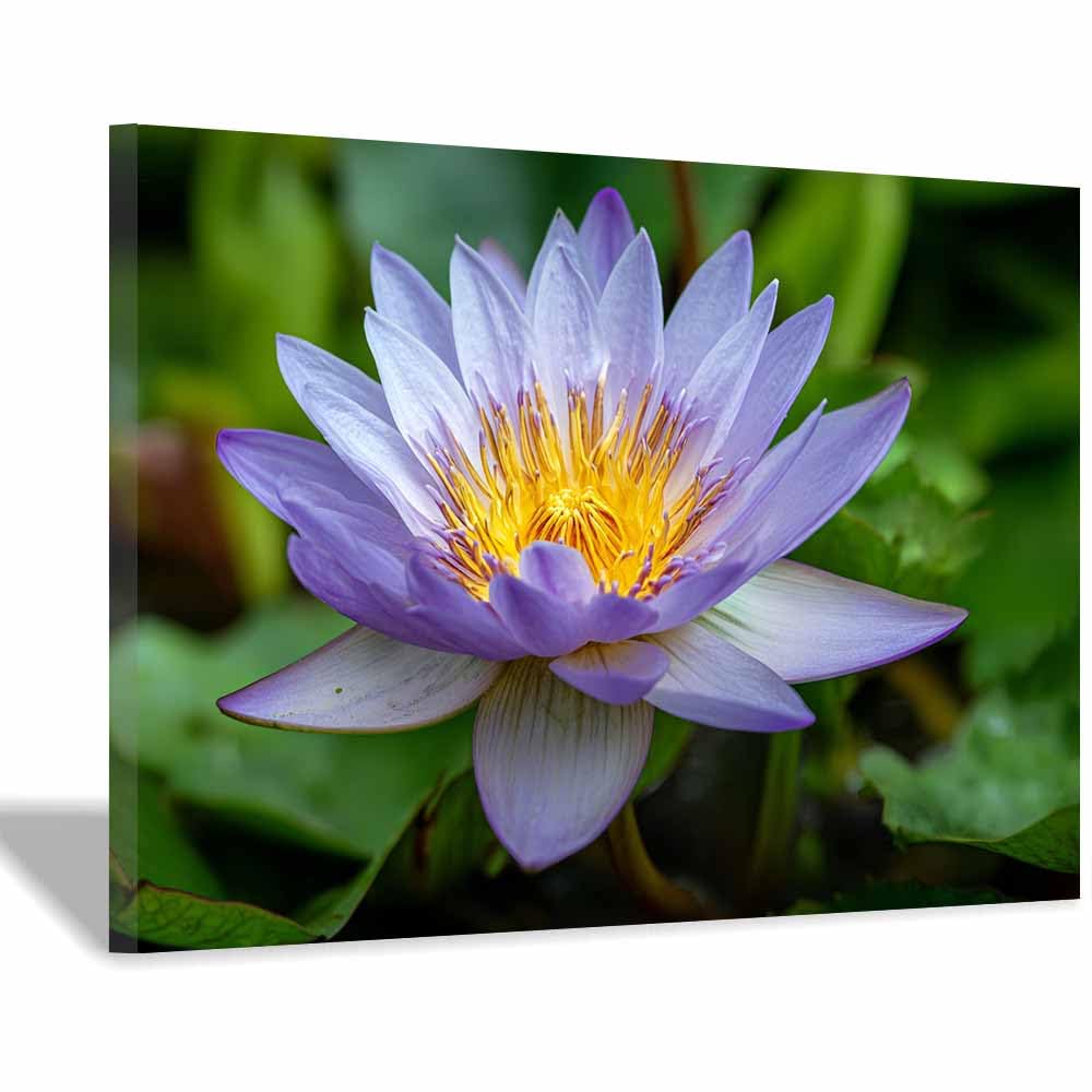 ZAMAEIU Nature Landscape Canvas Wall Art Water lilies posters picture, Modern Wall Decor, for Bedroom, Office, Living Room, Corridor, classroom(Purple;)-50x70cm Framed