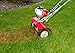 Mantis 5222 Power Tiller Dethatcher Attachment for Gardening