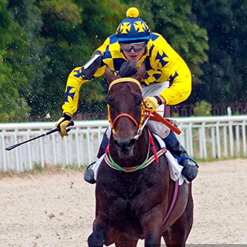 Trustrider-Riding Crop For Horse, 18 Inch Horse Whip With Pu Leather Equestrianism Horse Crop Double Slapper Horse Whip Black Crops For Horses (Black) #TOP2