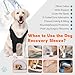 Dog Elbow Protector & Recovery Sleeve for Front Legs – Adjustable Dog Leg Sleeve to Stop Licking Anti-Licking for Arthritis, Calluses, Post-Surgery Care, Knee Brace for XX-Large Dogs