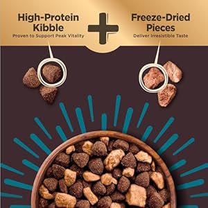 Wellness CORE RawRev Dry Canine Meals with Healthful Grains, Pure Elements, Made in USA with Actual Freeze-Dried Meat (Grownup, Ocean, 4 lbs)