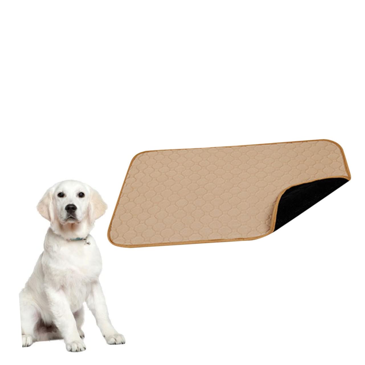 BESPORTBLE Tappetino Igienico Assorbente per Cani e Gatti, Tessuto, e Lavabile, per Addestramento e Uso Quotidiano Domestico