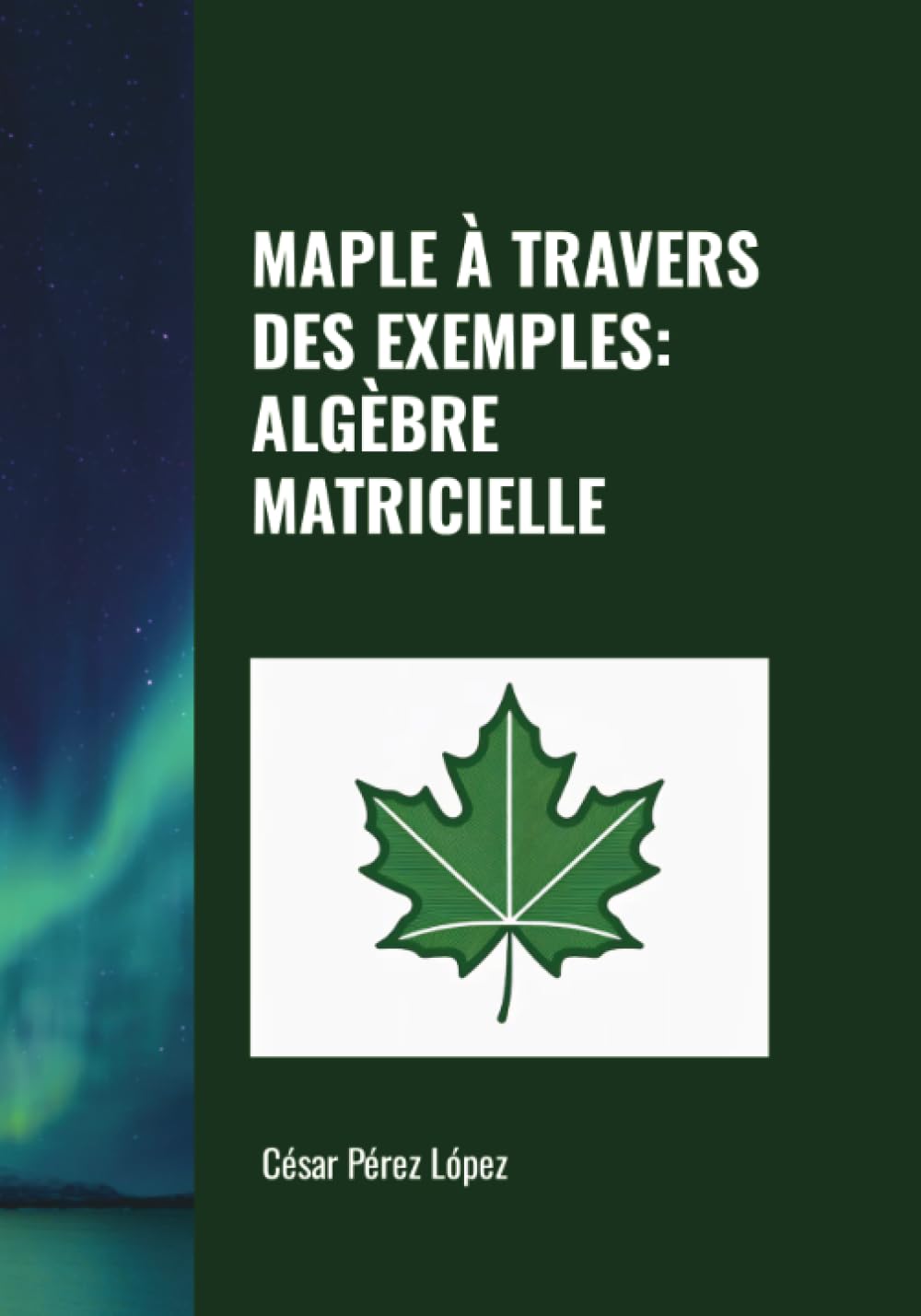 MAPLE À TRAVERS DES EXEMPLES: ALGÈBRE MATRICIELLE