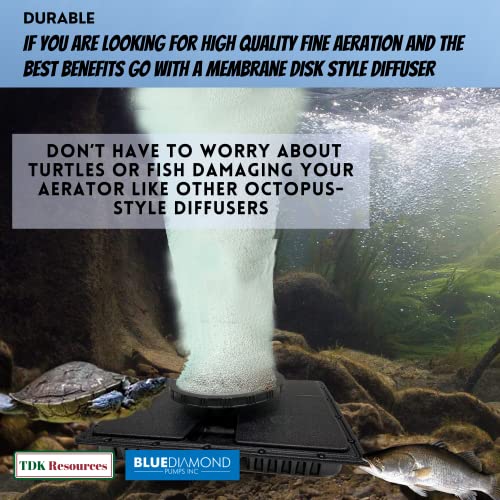 Difusor de aire DS1 Blue Diamond Pumps para estanques miniatura 2