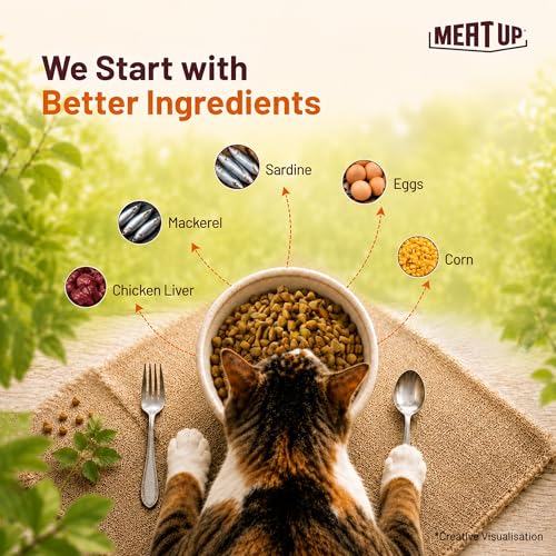 Image of Meat Up Adult Dry Cat Food Total 2.4Kg | Mackerel Flavour | Supports Urinary pH Balance | Reduces Hairball Formation | Promotes Skin & Coat Health | Taurine for Cardiac Support