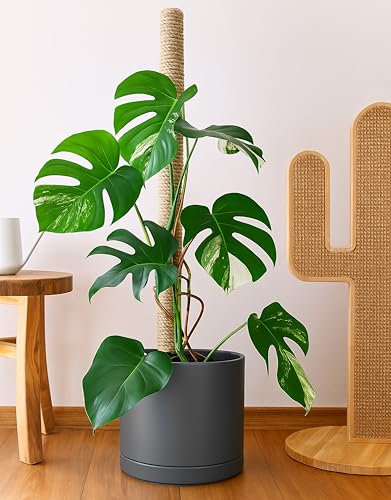 D'vine Dev Keramik-Pflanztopf, 35,6 cm, Grau, 94-O-G-3 – Ansicht 2