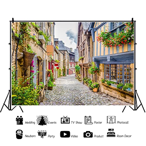 CSFOTO 3x2,5m Italien Alt Gasse Hintergrund Europäisch Alt Gebäude Weg Friedlich Stadt Feder Blüte Fotografie… – Bild 4