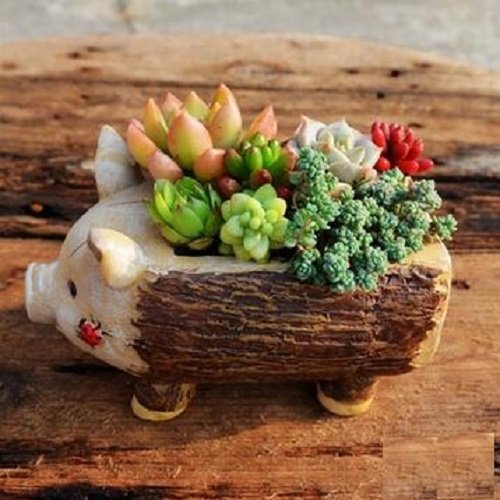 Youfui 可愛い 動物 植木鉢 プランターデザイン小物 フラワーポット おしゃれ 多肉植物 寄せ植え 鉢 (Pig)