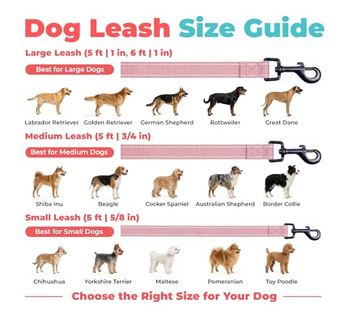 Image of Best Pet Supplies Voyager Reflective Dog Leash or Collar with Neoprene Handle, for Small, Medium, and Large Breed Puppies, Cute and Heavy Duty for Walking, Running and Training - Pink (Leash), S