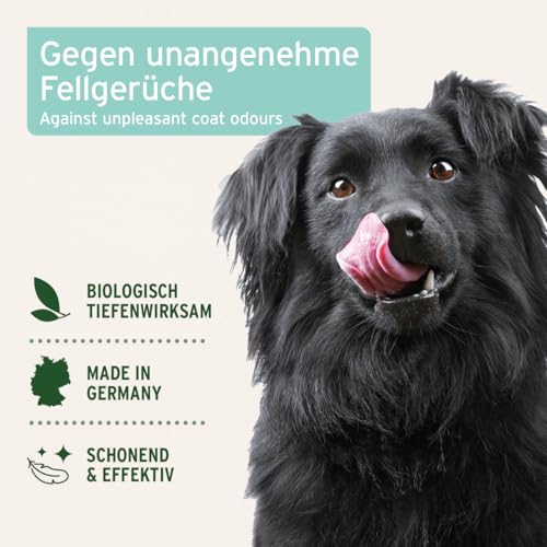 AniForte Fellgeruch-Stop Hund & Katze 200ml - Fellspray gegen Hundegeruch & Katzengeruch, Natürlicher Geruchsneutralisierer für Langhaar & Kurzhaar, Geruchsentferner bei Tiergerüchen