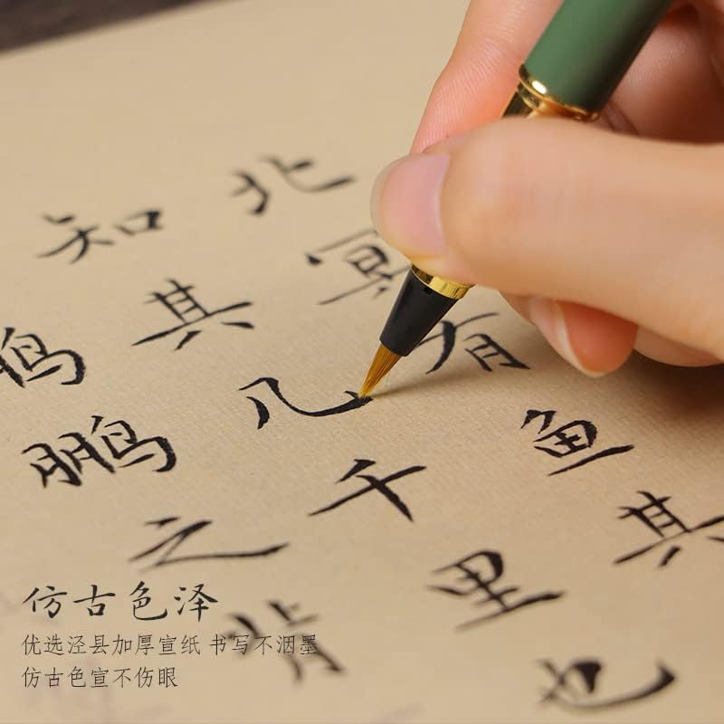 QianKao Calligraphy Practice Copybook chinese ancient books copy 逍遥游庄子宣纸长卷手写描红小楷钢笔式毛笔高中语文必学手抄临摹(1Pcs （钢笔式毛笔+不含墨水+流苏）+收纳筒)