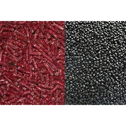 PROREZULT 500g Tropical Fish Food Bloodworm Sticks and Catfish Pellets Twin Pack Treat (500g Twin Pack) Cover