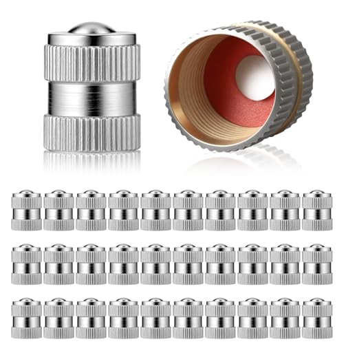 30 Pack Brass Rubber Seal Tire Valve Stem Caps Dust Proof Covers Universal fit Heavy-Duty Stem Covers with O Rubber Seal Easy Install Leak-Proof Air Protection (Silver)