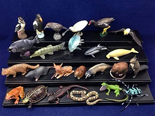 海洋堂 日本の天然記念物 フィギュア 51体セット 海洋堂 日本の天然記念物 フィギュア 51体セット Amazon | 海洋堂 週刊