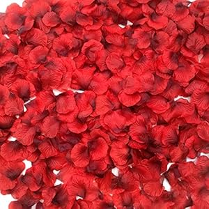 CODE FLORIST 2200 PCS Dark-Red Silk Rose Petals Wedding Flower Decoration