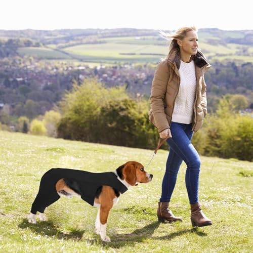 Leggings para perros para cuidar a tu mascota mayor de lesiones y calor 5