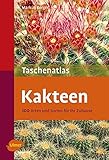 kakteen häkeln buch  Taschenatlas Kakteen: 100 Arten und Sorten für Ihr Zuhause (Taschenatlanten)